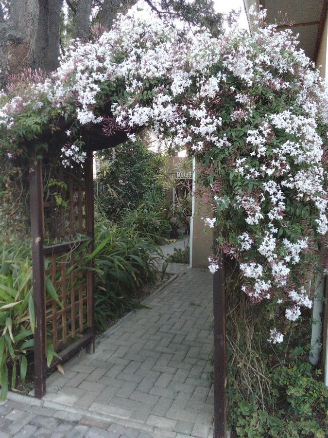 Uzuri Guesthouse Cc 빈트후크 외부 사진